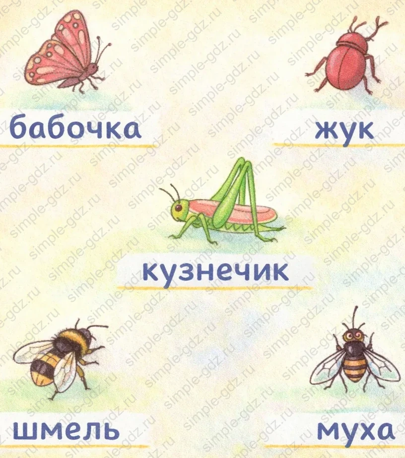 Ответ к рабочей тетради по русскому языку 1 класс Канакина, Горецкий страница 29