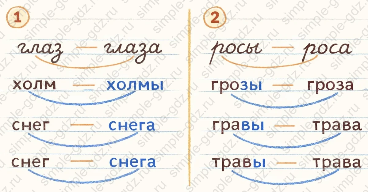Ответ к рабочей тетради по русскому языку 1 класс Канакина, Горецкий страница 34