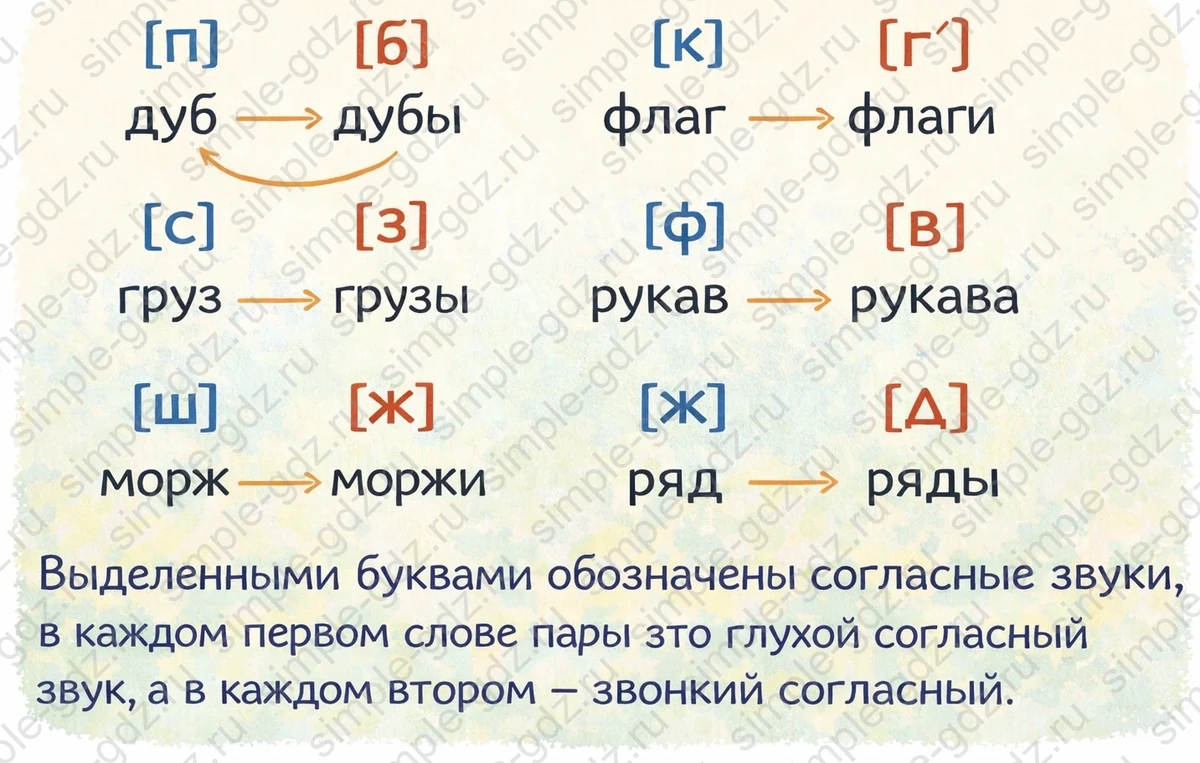 Ответ к рабочей тетради по русскому языку 1 класс Канакина, Горецкий страница 49