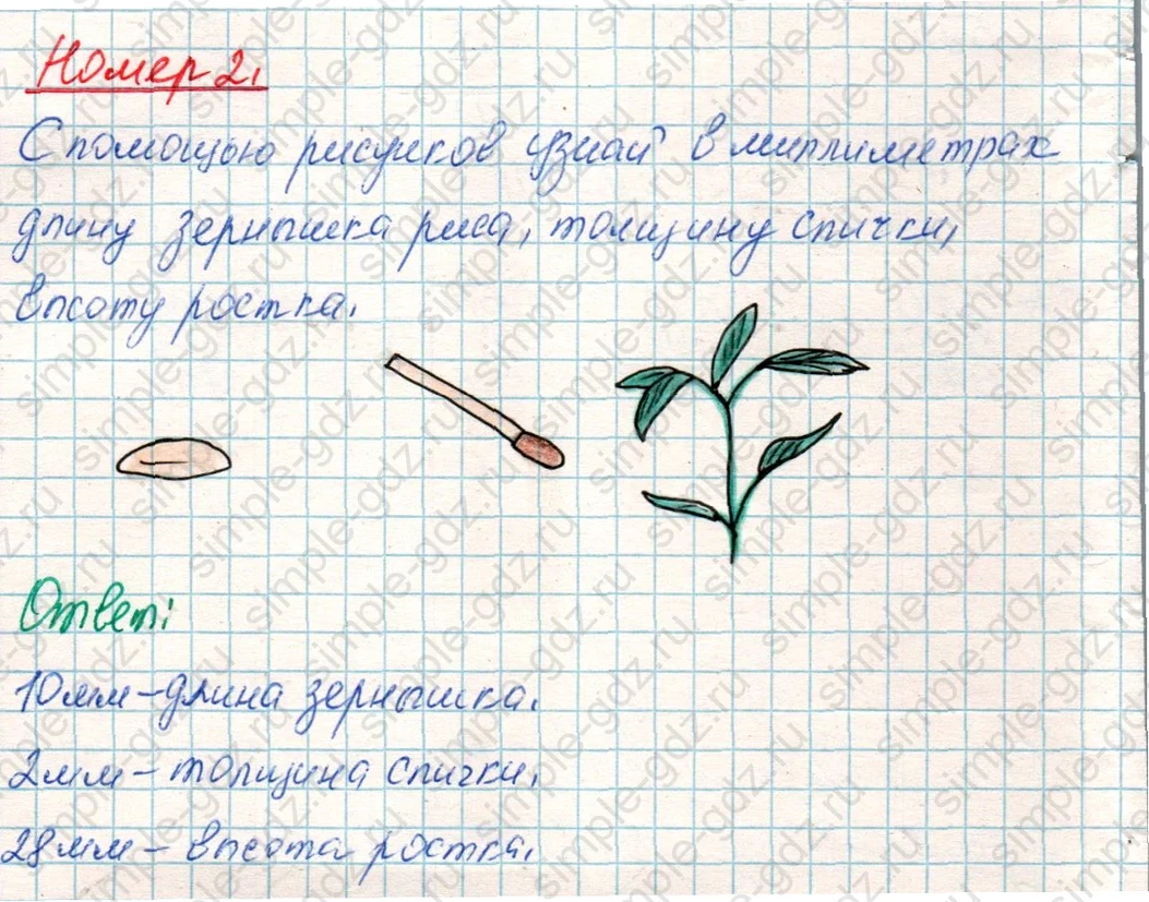 matematika class-4 Математика 4 класс учебник Дорофеев, Миракова часть 1, 2 - 1 Часть страница 115 ответ Номер 2