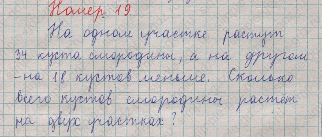 matematika class-5  Математика 5 класс учебник Мерзляк, Полонский - 1 Часть страница 19 ответ Номер 19