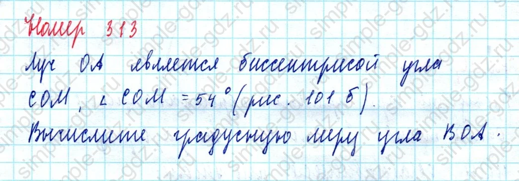 matematika class-5  Математика 5 класс учебник Мерзляк, Полонский - 1 Часть страница 313 ответ Номер 313