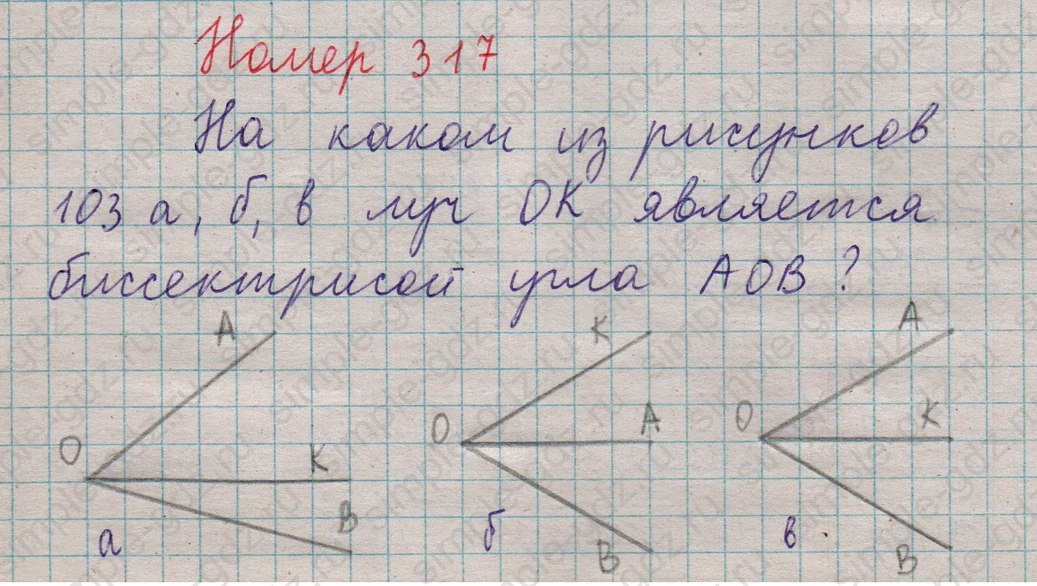 matematika class-5  Математика 5 класс учебник Мерзляк, Полонский - 1 Часть страница 317 ответ 317
